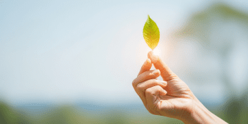 Disease Prevention Tips for Mature Adults: Wellness Trends & Longevity 2025 Health & Fitness