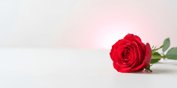 Cute Texts for Your Girlfriend: 50+ Sweet, Romantic & Flirty Messages to Make Her Smile Dating Tips