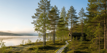 Eco-Travel in Finland 2024: Ultimate Sustainable Travel Tips for 41–50-Year-Olds Travel