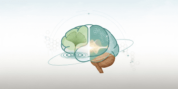 Boost Memory & Focus Naturally: Cognitive Biohacking Guide for 31–40-Year-Olds in Germany Health & Fitness