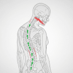 Posture Correction for 41–50 Year Olds in the UK: Ultimate Step-by-Step Back Health Guide Health & Fitness