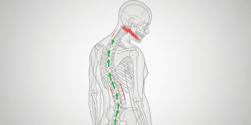 Posture Correction for 41–50 Year Olds in the UK: Ultimate Step-by-Step Back Health Guide Health & Fitness