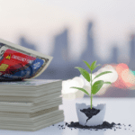 Emergency Fund for Young Adults in the USA: Your Ultimate Step-by-Step Guide to Financial Security Personal Finances