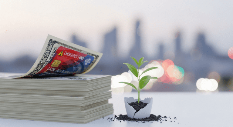 Emergency Fund for Young Adults in the USA: Your Ultimate Step-by-Step Guide to Financial Security Personal Finances