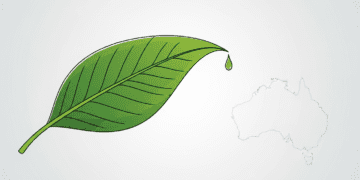 Sustainable Daily Habits for Young Adults in Australia: 7 Proven Steps for Long-Lasting Success Personal Growth
