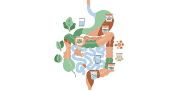 The Ultimate Guide to Natural Gut Health for Young Adults in Luxembourg Health & Fitness