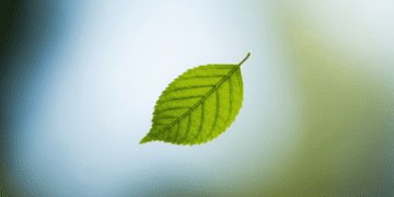 Ultimate Guide to Breathing Techniques for Stress Relief & Mental Clarity Health & Fitness