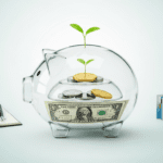 Personal Finance for Young Adults in the USA: The Ultimate Guide to Budgeting, Saving, and Investing Personal Finances