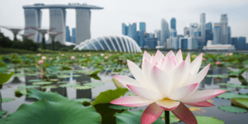 6 Proven Holistic Strategies to Boost Cognitive Health in Young Adults in Singapore Health & Fitness