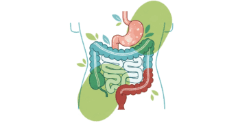 Ultimate Natural Gut Health Guide for Young Adults in Luxembourg (Ages 23–30) Health & Fitness
