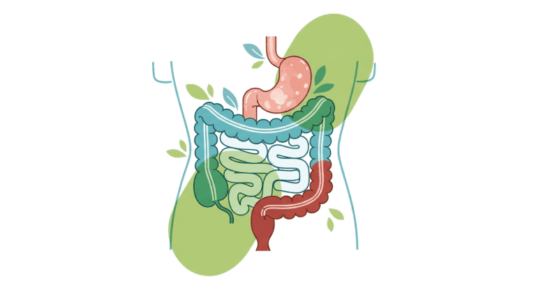 Ultimate Natural Gut Health Guide for Young Adults in Luxembourg (Ages 23–30) Health & Fitness
