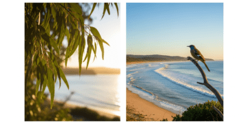 5-Step Morning Routine for Young Adults in Australia to Boost Productivity and Well-Being Personal Growth