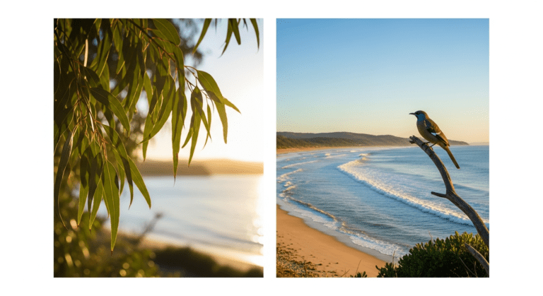 5-Step Morning Routine for Young Adults in Australia to Boost Productivity and Well-Being Personal Growth