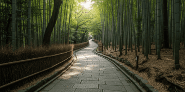 The Ultimate Safe Solo Travel Guide in Japan for Women Aged 23–30 Travel