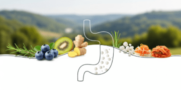 Boost Your Gut Health Naturally: The Ultimate Guide for Adults in Luxembourg Health & Fitness