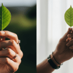Matching PFPs: 32 Subtle & Flirty Profile Picture Ideas to Showcase Your Connection Dating Tips