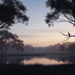 10 Proven Meditation Techniques for Better Sleep in Young Adults in Australia Health & Fitness