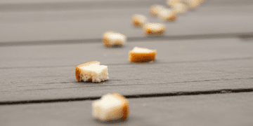 Breadcrumbing in Dating: 28 Signs, Why It Happens & How to Protect Yourself Dating Tips