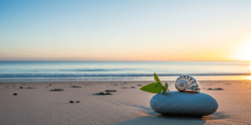 Holistic Sleep Optimization: 7 Proven Tips for Restorative Sleep in Young Australian Adults Health & Fitness